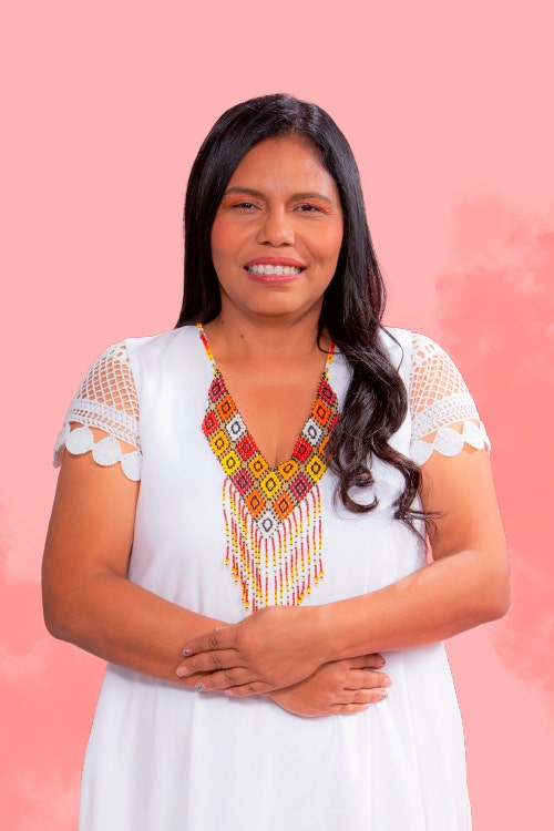 DELLYS ERADYS GUERRERO ROMERO