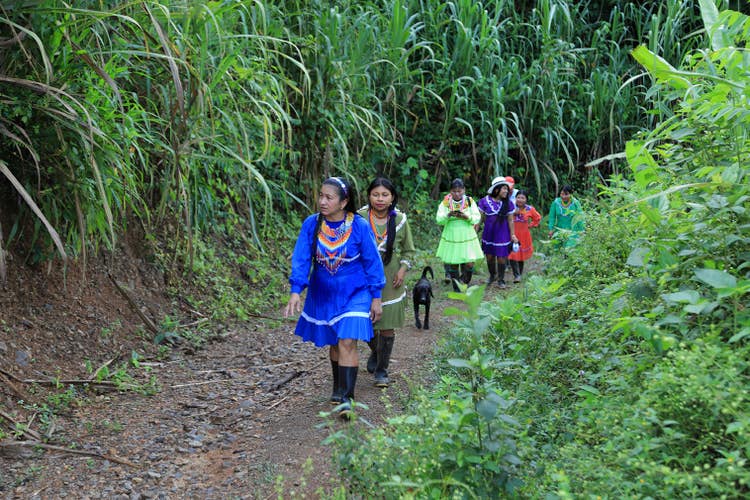 Grupo Indígena de Mujeres Productoras Kundumí: fotografía 2